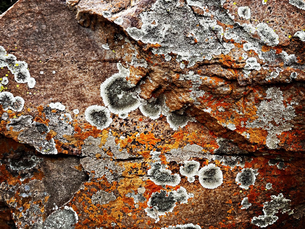 HipstamaticPhoto-733589697.922112_1024