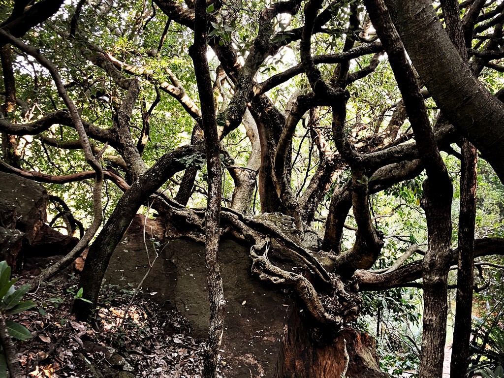 HipstamaticPhoto-733589850.717586_1024