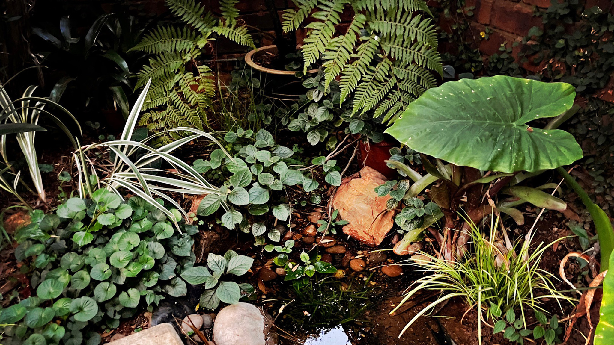 TNKgreen_House Engelbrecht